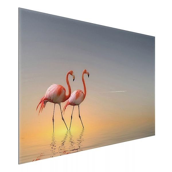 Alu-Dibond Bild Tiere - Querformat 3:2 Flamingo Love günstig online kaufen