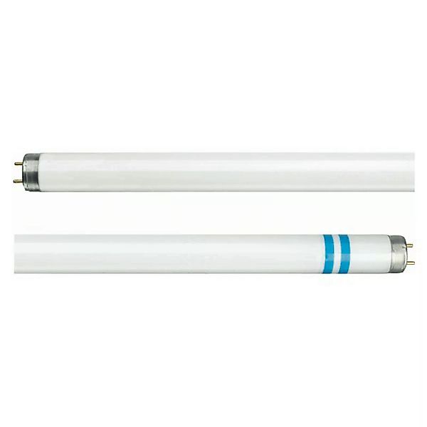 Philips G13 T8 Leuchtstoffröhre mit Splitterschutz günstig online kaufen