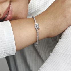 Pandora Charm-Armband 590782C01-16 günstig online kaufen
