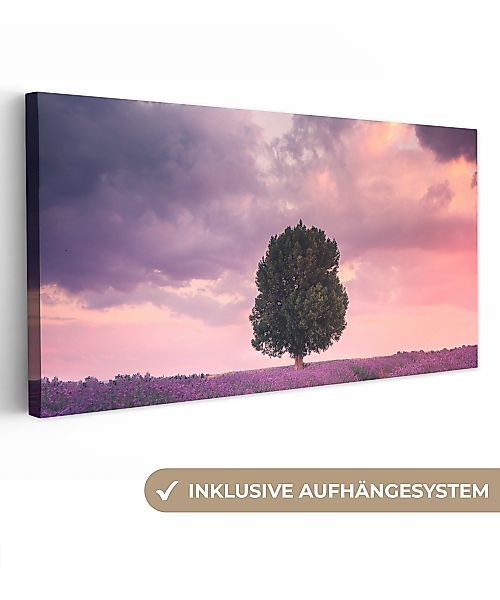 OneMillionCanvasses® Leinwandbild Panorama Lavendel - Blumen günstig online kaufen