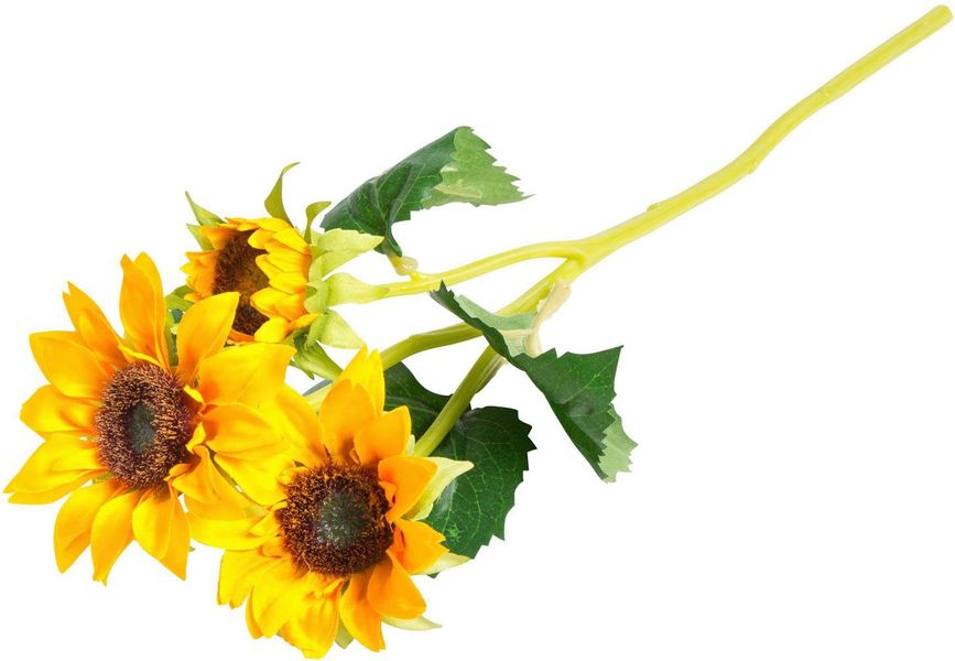 Kunstblume Sonnenblume Sonnenblume, Botanic-Haus, Höhe 38 günstig online kaufen