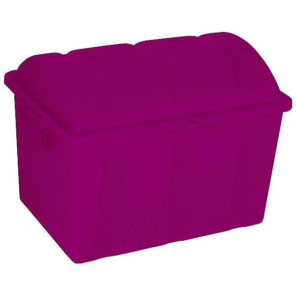 Curver Aufbewahrungsbox Curver 259604 Aufbewahrungsbox Piraten günstig online kaufen