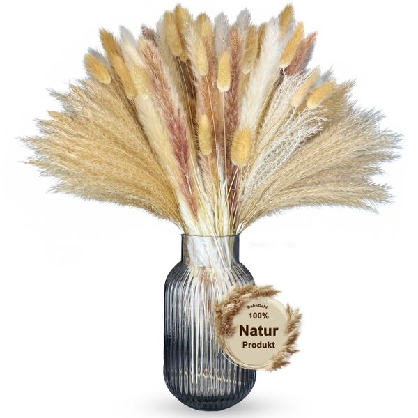 Trockenblume Trockenblumenstrauß Pampasgras, Nina-Maria's Deko Gold, günstig online kaufen