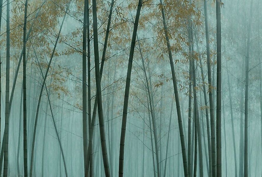 living walls Fototapete »Walls by Patel In The Bamboo«, Vlies, Wand günstig online kaufen