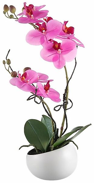 Kunstpflanze Orchidee Orchidee, Creativ green, Höhe 42 cm günstig online kaufen