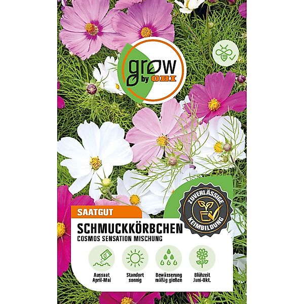 GROW by OBI Schmuckkörbchen Cosmos Sensation Mehrfarbig Höhe ca. 120 cm günstig online kaufen