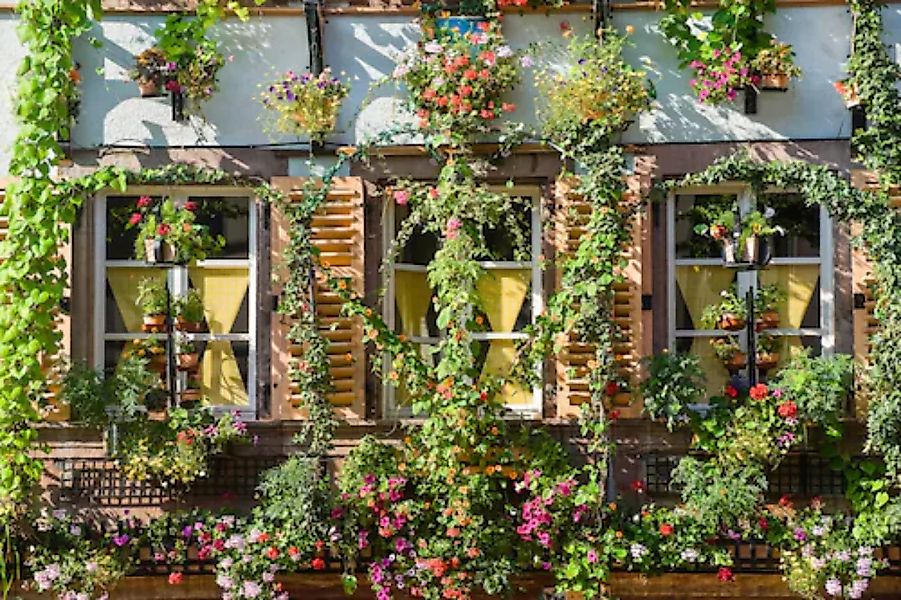 Papermoon Fototapete »Haus mit Pflanzen« günstig online kaufen