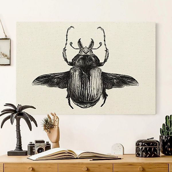 Leinwandbild auf Canvas Natural Illustration fliegender Käfer Schwarz günstig online kaufen