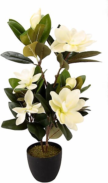 Kunstbaum Magnolienbusch, I.GE.A., Höhe 68 cm, günstig online kaufen