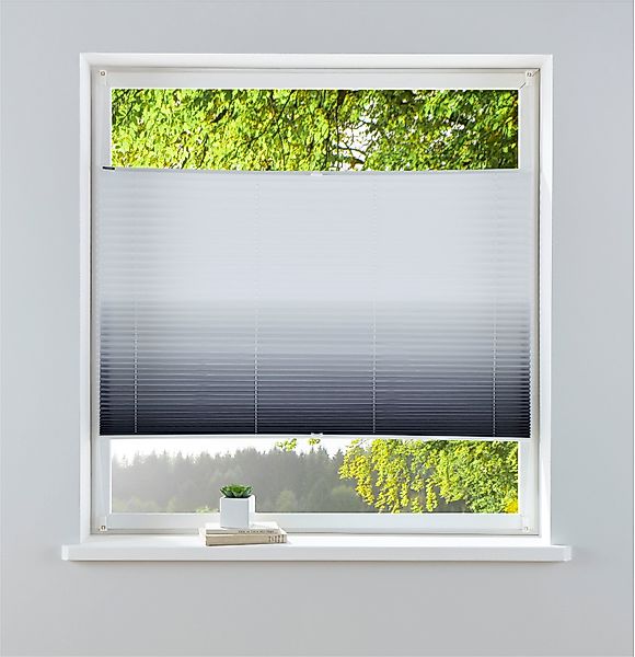 my home Plissee Ombré, Lichtschutz, ohne günstig online kaufen