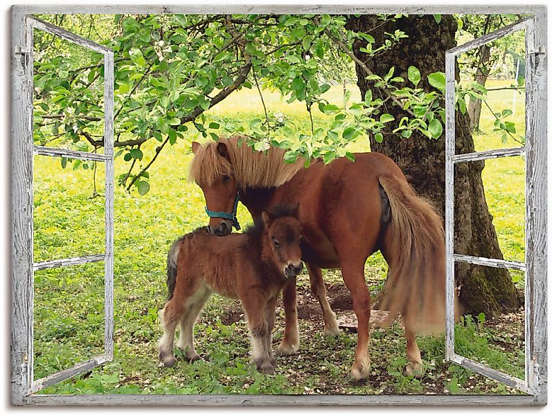 Artland Wandbild "Fensterblick - Pony mit Kind" Haustiere 1 Stk. tlg. als L günstig online kaufen