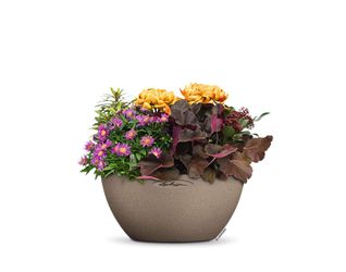 Lechuza® Blumentopf Cubeto Stone 30 - günstig online kaufen