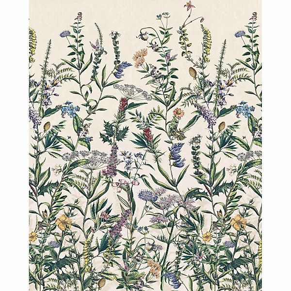 Komar Vliesfototapete Flowering Herbs 200 cm x 250 cm günstig online kaufen