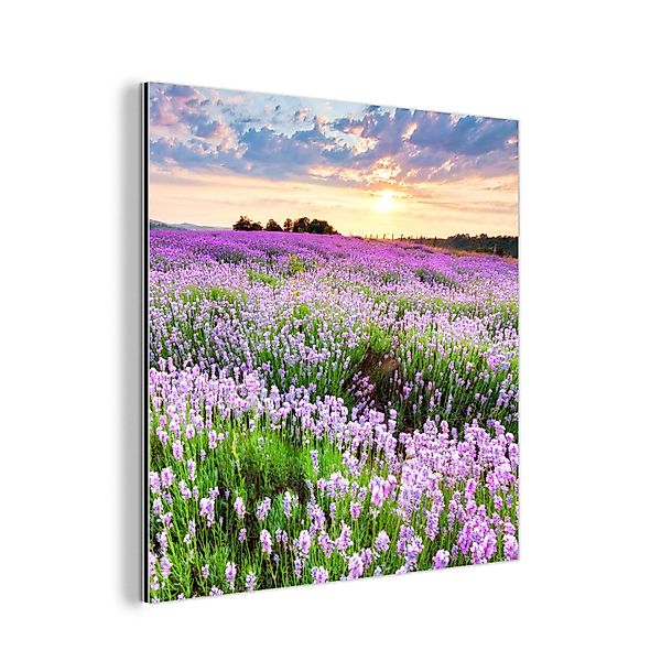 MuchoWow Metallbild Lavendel - Blumen - günstig online kaufen