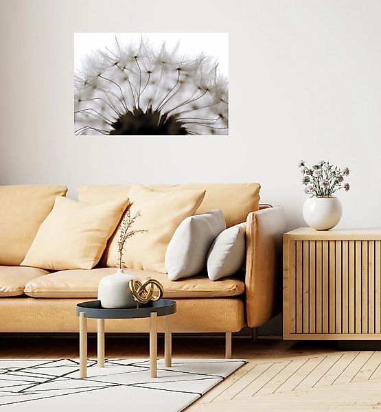 queence Wandsticker "Pusteblume" Selbstklebend, kinderleichte Anbringung günstig online kaufen