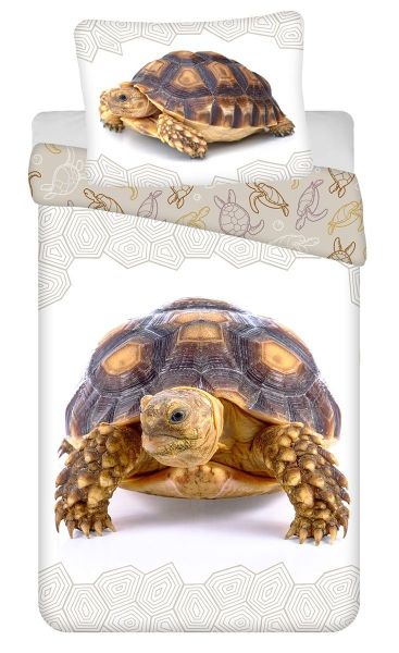 Jerry Fabrics Kinderbettwäsche Schildkröte, Renforcé, 2 günstig online kaufen