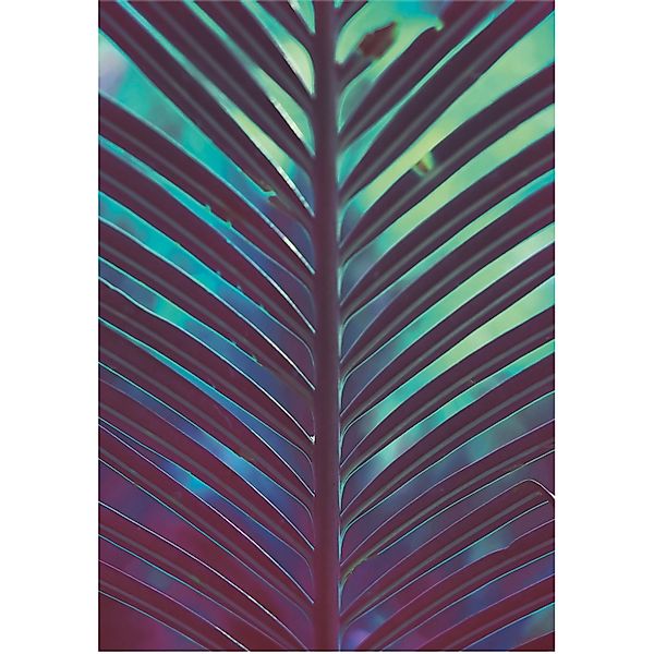 Komar Bild "Hide" Blätter  Pflanzen 1 Stk. tlg. Wandbild zur Dekoration - o günstig online kaufen