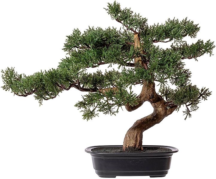 Kunstbonsai Bonsai Zeder Bonsai, Creativ green, Höhe 40 cm günstig online kaufen