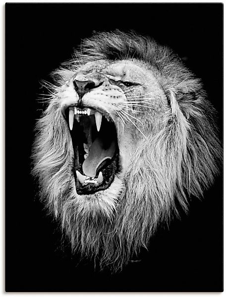 Artland Wandbild »Der Löwe«, Wildtiere, (1 St.) günstig online kaufen
