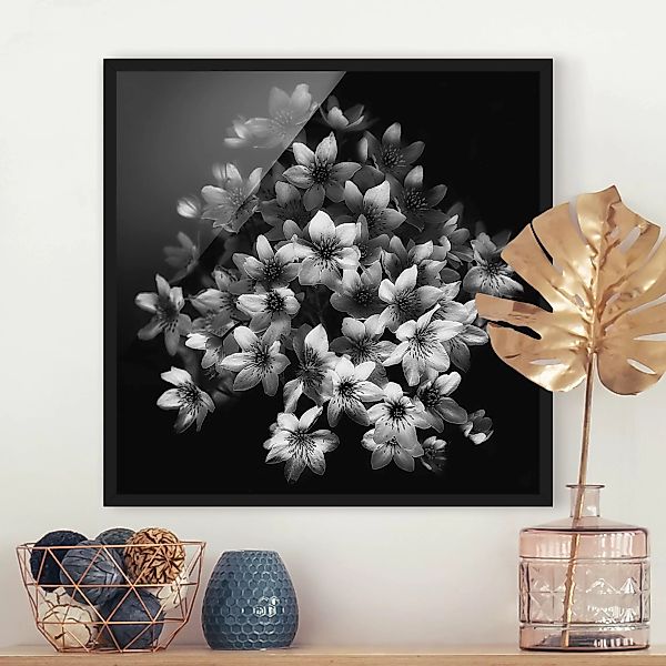 Bild mit Rahmen Blumen - Quadrat Dunkler Clematis Strauß günstig online kaufen