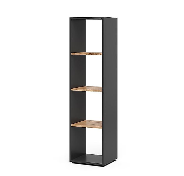 Vicco Raumteiler Ludus, Anthrazit/Goldkraft Eiche, 36.8 x 144.9 cm günstig online kaufen