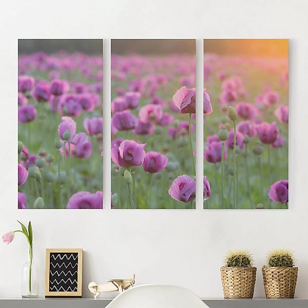3-teiliges Leinwandbild Blumen - Querformat Violette Schlafmohn Blumenwiese günstig online kaufen