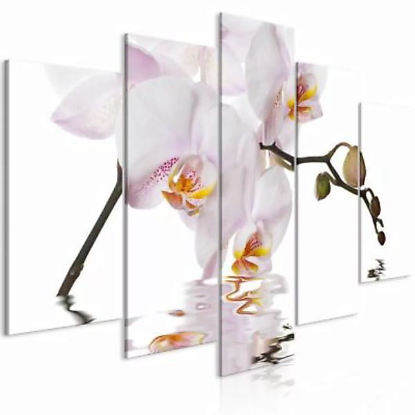 artgeist Wandbild Delightful Orchid (5 Parts) Wide mehrfarbig Gr. 200 x 100 günstig online kaufen