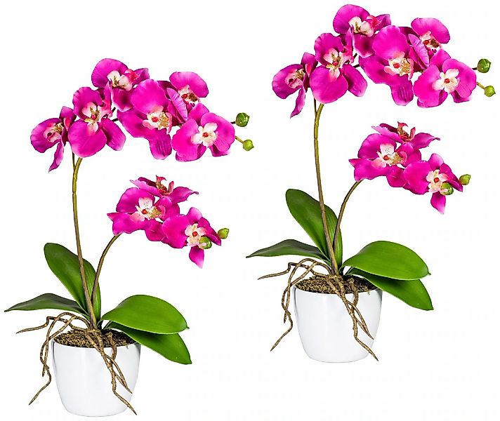 Kunstpflanze Orchidee Phalaenopsis Orchidee, Creativ green, Höhe 43 cm, im günstig online kaufen