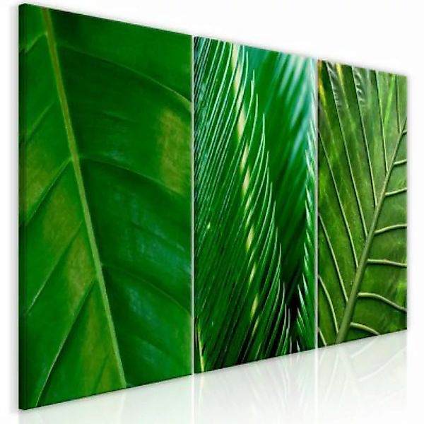 artgeist Wandbild Leaves (Collection) grün Gr. 60 x 30 günstig online kaufen
