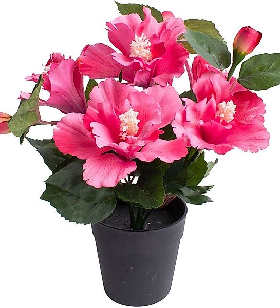Kunstblume Hibiskus im Topf Hibiskus, Botanic-Haus, günstig online kaufen