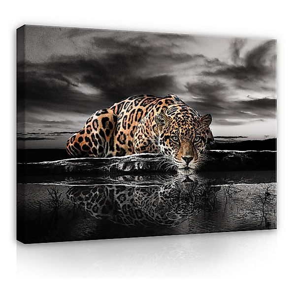 Wallarena Leinwandbild Tiere Lampard Tiger Afrika Wandbild XXL Leinwandbild günstig online kaufen