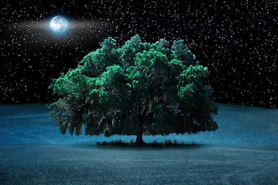 Papermoon Fototapete »Baum in Landschaft bei Nacht« günstig online kaufen