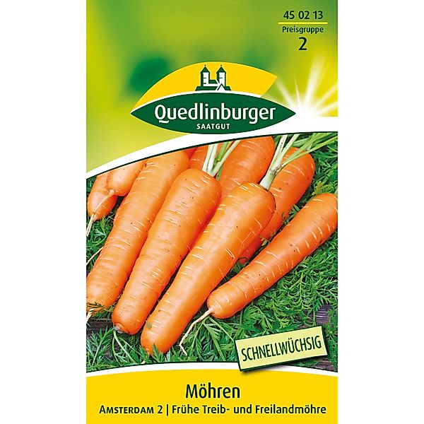 Quedlinburger Möhren Frühe ''Amsterdam 2'' günstig online kaufen