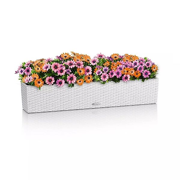 Lechuza® Balkonkasten Balconera Cottage 100 weiß günstig online kaufen
