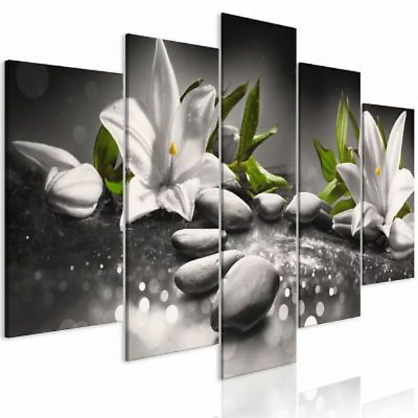artgeist Wandbild Lilies and Stones (5 Parts) Wide Grey mehrfarbig Gr. 200 günstig online kaufen
