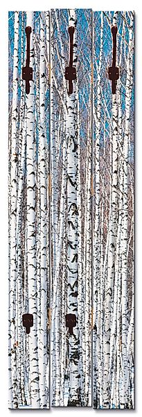Artland Garderobenleiste »Winterbirkenwald Wintergelassenheit«, teilmontier günstig online kaufen