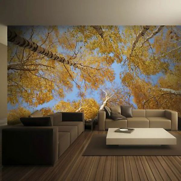 artgeist Fototapete Herbstliche Baumkronen orange-kombi Gr. 200 x 154 günstig online kaufen