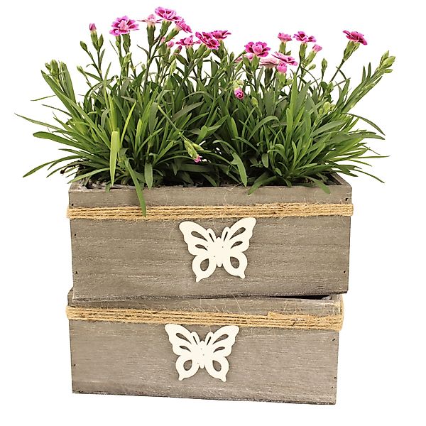 Online-Fuchs Blumentopf 2er Set Blumenschalen aus günstig online kaufen