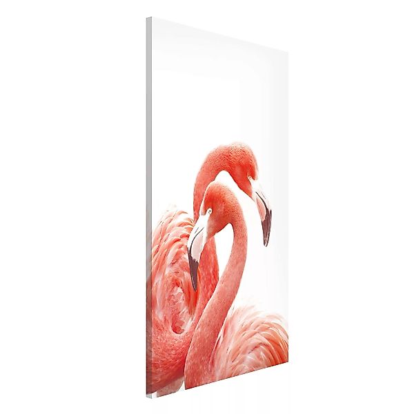Magnettafel Zwei Flamingos günstig online kaufen