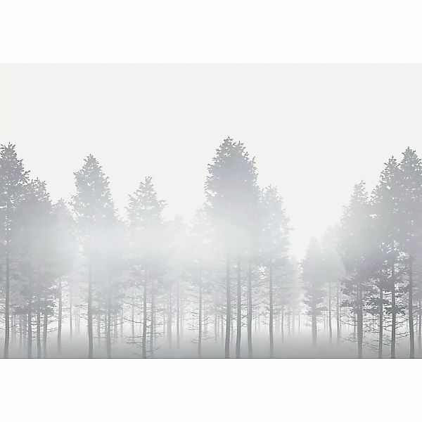 Komar Fototapete Vlies Silver Haze  400 x 280 cm günstig online kaufen
