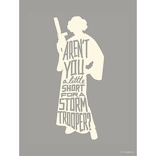 Komar Bild "Star Wars Silhouette Quotes Leia" Disney 1 Stk. tlg. Wandbild z günstig online kaufen
