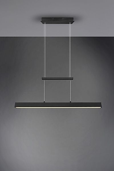 Reality Leuchten LED Pendelleuchte Reality Leuchten günstig online kaufen