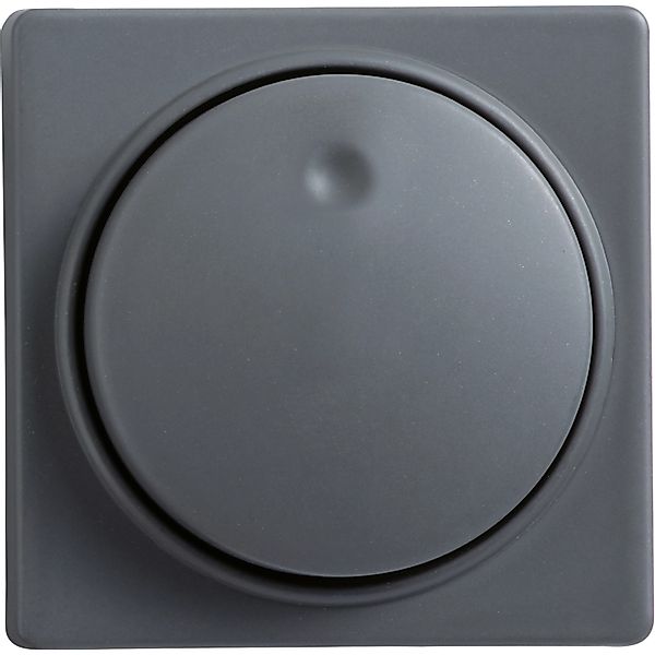 OBI Abdeckung für Dimmer Apollo Coolgray günstig online kaufen