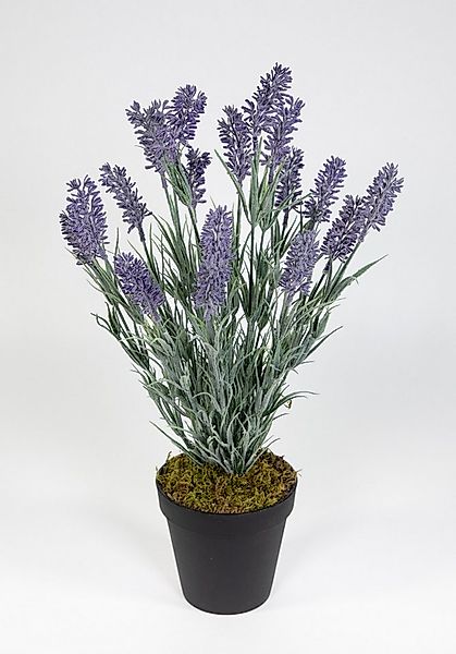 Kunstblume Künstlicher Lavendelbusch 54cm im Topf FI Kunstpflanzen Blumen P günstig online kaufen