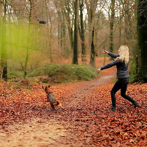 lionto Tier-Intelligenzspielzeug Futterbeutel für Hunde, Trainingsdummy, günstig online kaufen