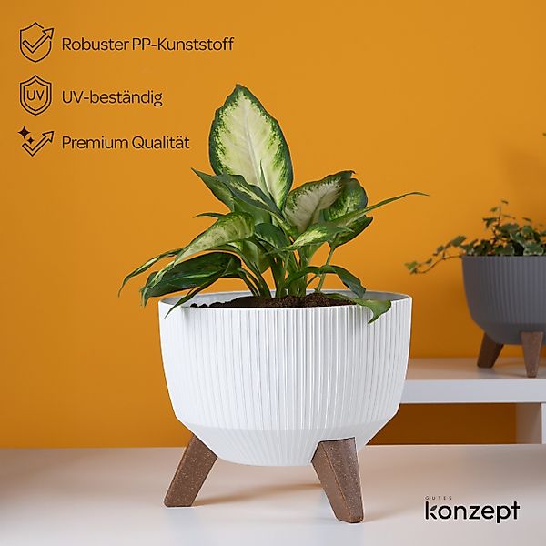 KONZEPT Blumentopf Pflanzschale 24/29cm Blumentopf mit günstig online kaufen