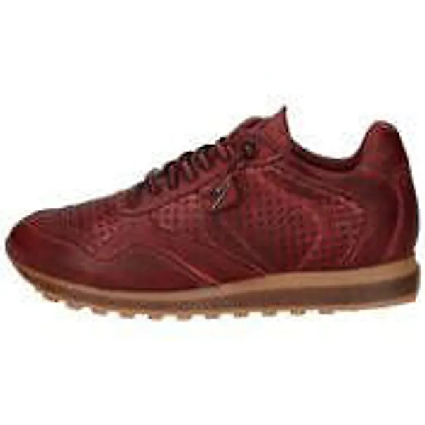 Cetti Sneaker Herren rot günstig online kaufen