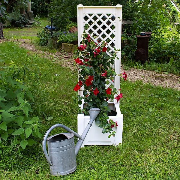 NYVI Blumenkasten Pflanzkasten NYVIGreen 43x43x140 cm günstig online kaufen