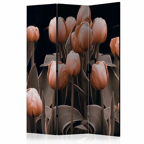 3-teiliges Paravent - Ladies Among The Flowers [room Dividers] günstig online kaufen