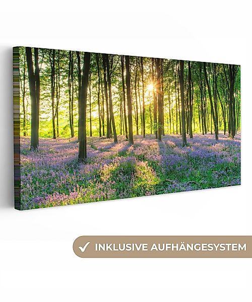 OneMillionCanvasses® Leinwandbild Panorama Frühling - Wald günstig online kaufen